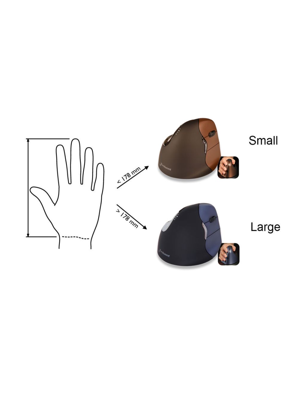 Evoluent VerticalMouse 4 Destro senza filo
