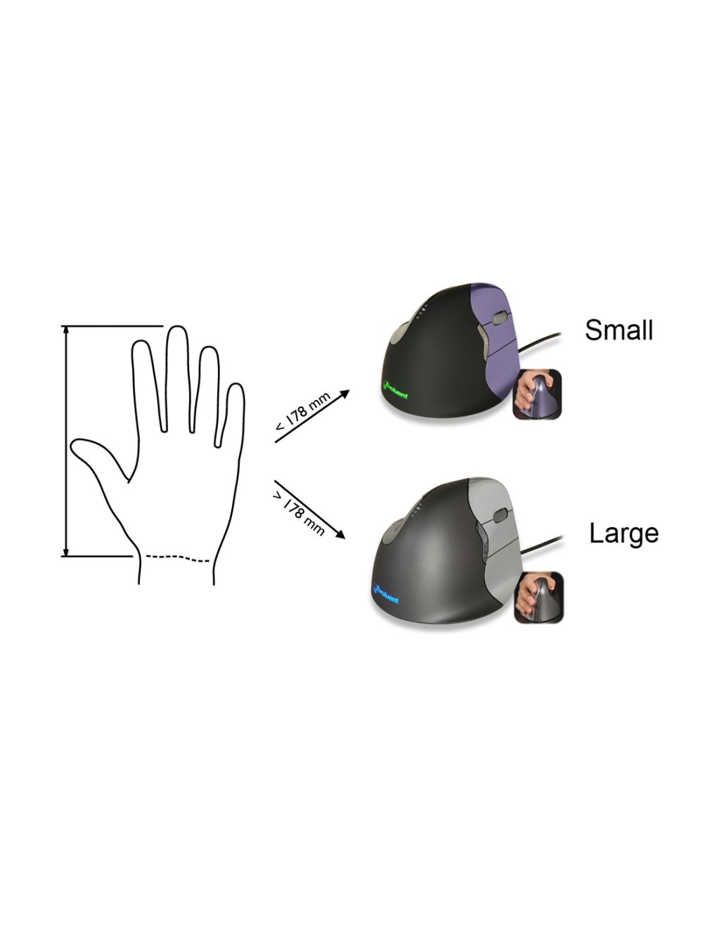 Evoluent VerticalMouse 4 Destro