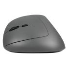 Midway Mouse