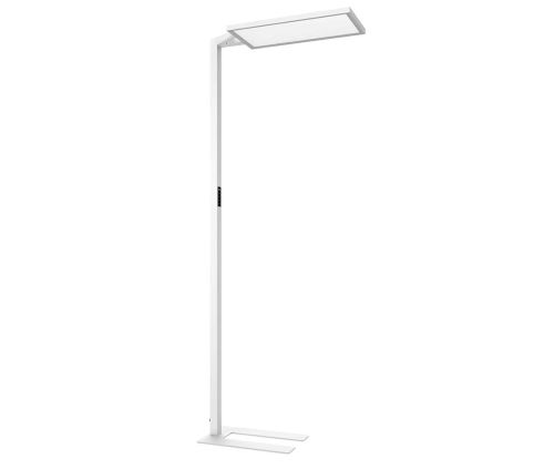 Accessori per la stazione di lavoro - Silvar Standing Lamp